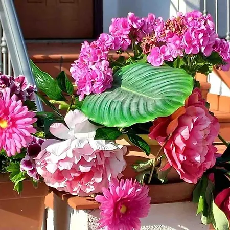 Casa Peonia, Natura, Piscina, Sport, Golf E Relax Appartamento